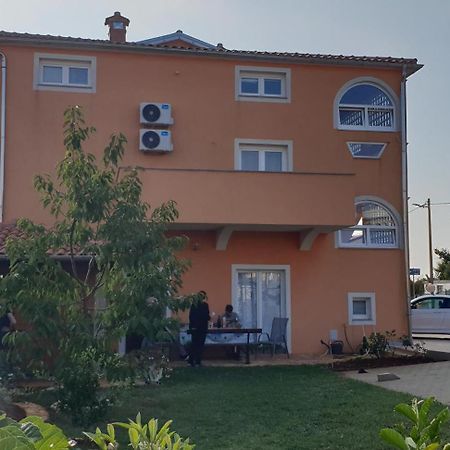 Apartmani Citrus Novigrad Filipac المظهر الخارجي الصورة