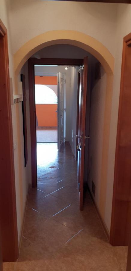 Apartmani Citrus Novigrad Filipac المظهر الخارجي الصورة
