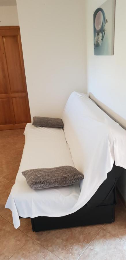 Apartmani Citrus Novigrad Filipac المظهر الخارجي الصورة