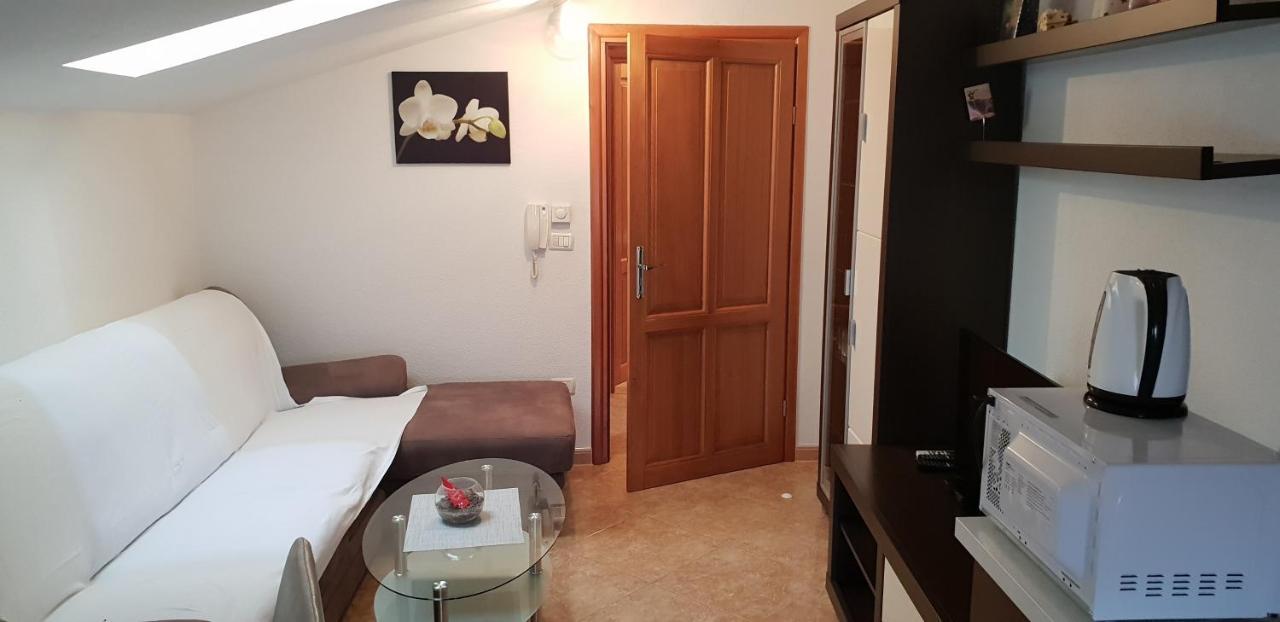 Apartmani Citrus Novigrad Filipac المظهر الخارجي الصورة