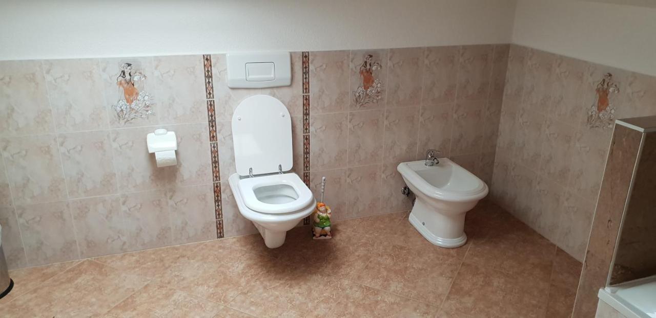 Apartmani Citrus Novigrad Filipac المظهر الخارجي الصورة