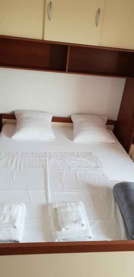 Apartmani Citrus Novigrad Filipac المظهر الخارجي الصورة