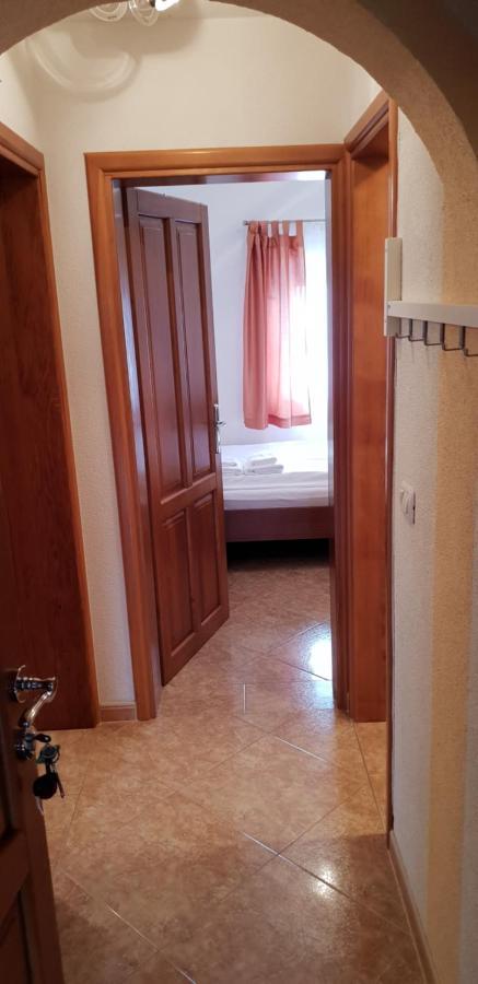 Apartmani Citrus Novigrad Filipac المظهر الخارجي الصورة
