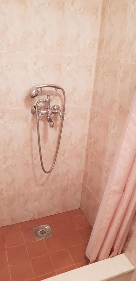 Apartmani Citrus Novigrad Filipac المظهر الخارجي الصورة