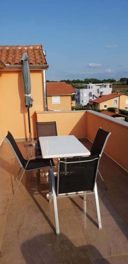 Apartmani Citrus Novigrad Filipac المظهر الخارجي الصورة