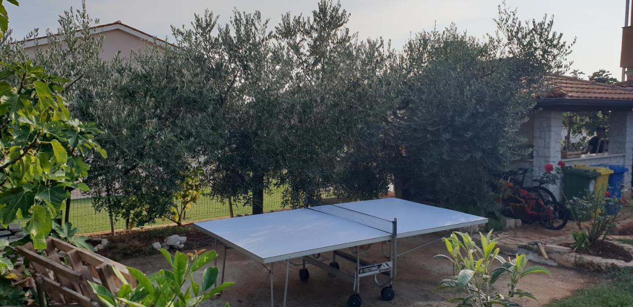 Apartmani Citrus Novigrad Filipac المظهر الخارجي الصورة