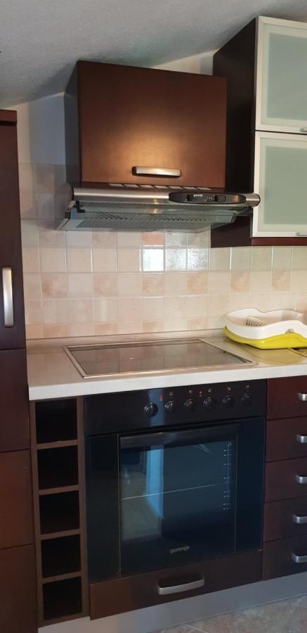 Apartmani Citrus Novigrad Filipac المظهر الخارجي الصورة