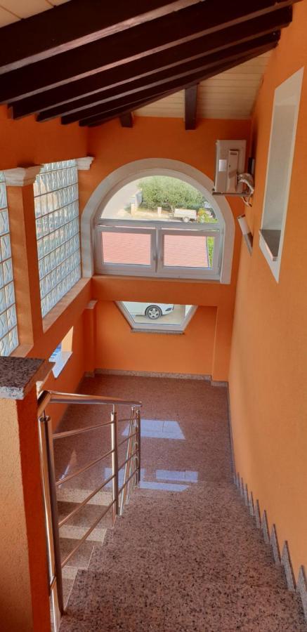 Apartmani Citrus Novigrad Filipac المظهر الخارجي الصورة