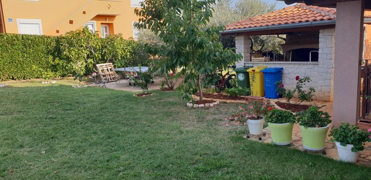 Apartmani Citrus Novigrad Filipac المظهر الخارجي الصورة