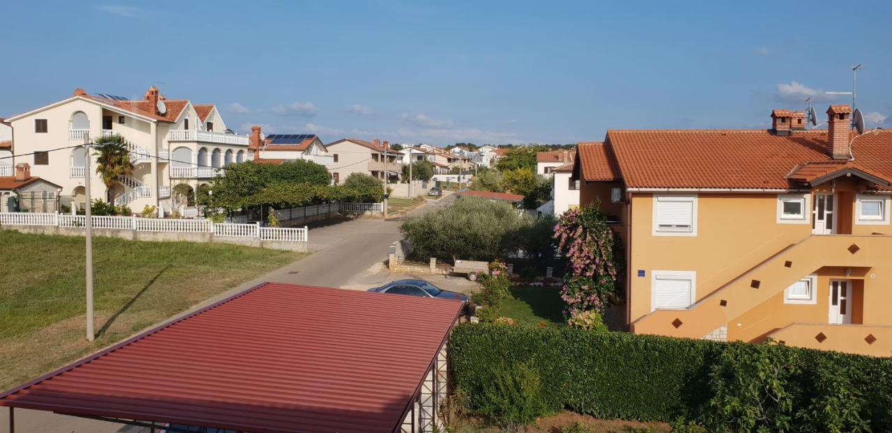 Apartmani Citrus Novigrad Filipac المظهر الخارجي الصورة