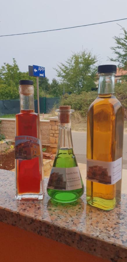 Apartmani Citrus Novigrad Filipac المظهر الخارجي الصورة