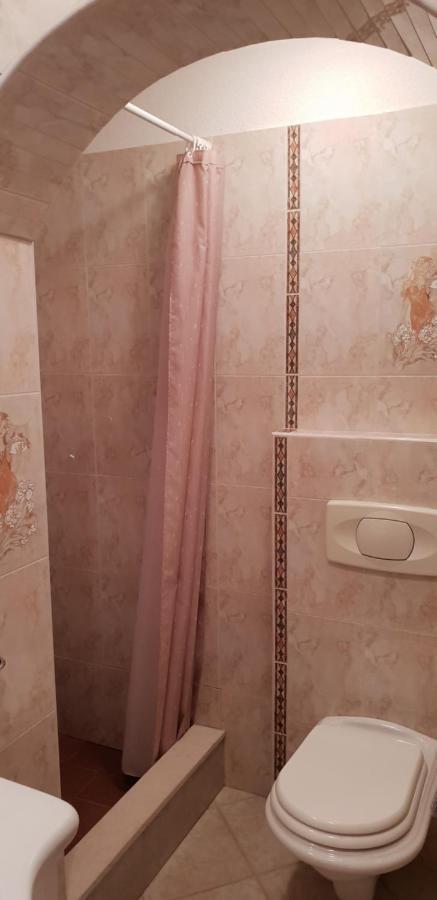 Apartmani Citrus Novigrad Filipac المظهر الخارجي الصورة